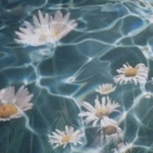 Meet your Posher, Johanna